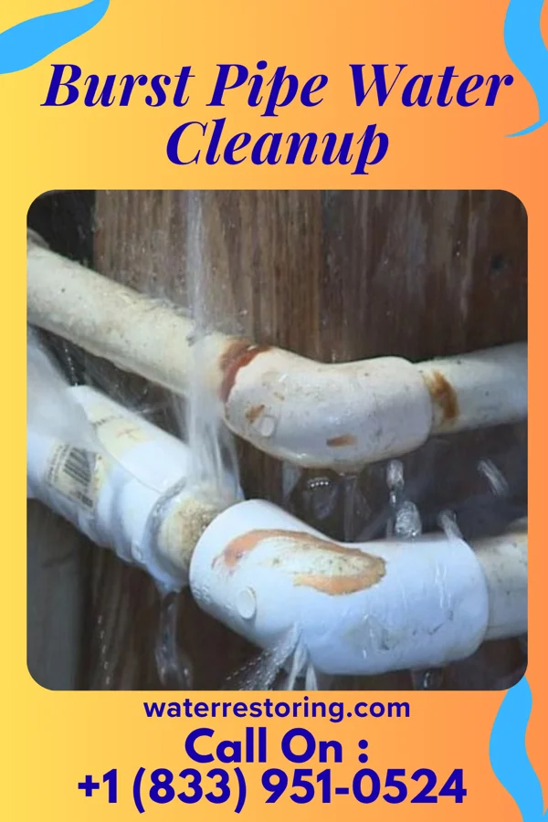 Burst Pipe Water Cleanup in Hymera, IN